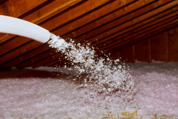 Types of Insulation We Offer in Issaquah, WA