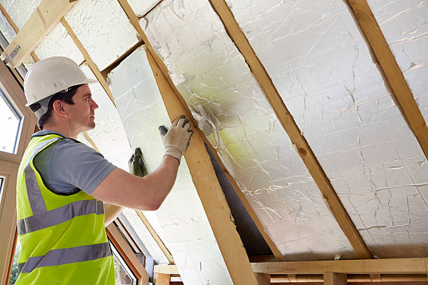 Best Eco-Friendly Insulation in Issaquah, WA